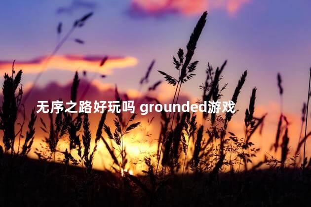 无序之路好玩吗 grounded游戏好玩吗